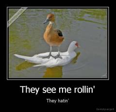 They see me rollin' - They hatin'