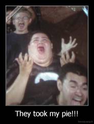 They took my pie!!! - 