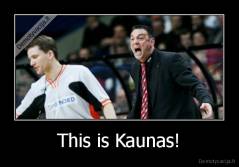 This is Kaunas! - 