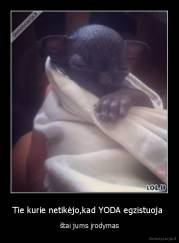 Tie kurie netikėjo,kad YODA egzistuoja  - štai jums įrodymas