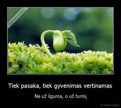 Tiek pasaka, tiek gyvenimas vertinamas - Ne už ilguma, o už turinį