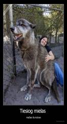 Tiesiog mielas  - mažas šuniukas