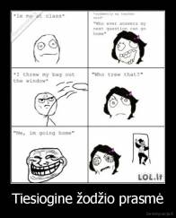 Tiesiogine žodžio prasmė - 