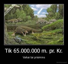 Tik 65.000.000 m. pr. Kr. - Vaikai tai prisimins