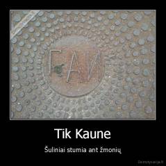 Tik Kaune - Šuliniai stumia ant žmonių