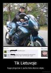 Tik Lietuvoje - Auga pingvinai ir pučia toks stiprus vėjas