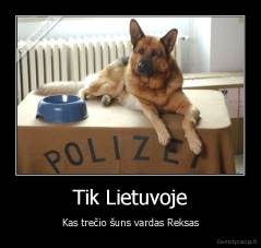 Tik Lietuvoje - Kas trečio šuns vardas Reksas