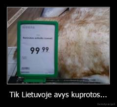 Tik Lietuvoje avys kuprotos... - 