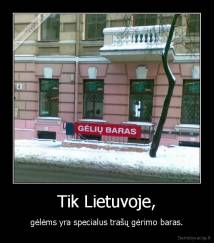 Tik Lietuvoje, - gėlėms yra specialus trašų gėrimo baras.