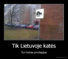 Tik Lietuvoje katės - Turi tokias privilegijas