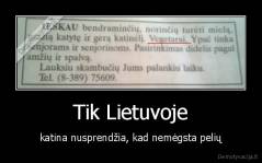 Tik Lietuvoje - katina nusprendžia, kad nemėgsta pelių