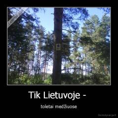 Tik Lietuvoje -  - toletai medžiuose