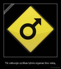 Tik Lietuvoje vyriškas lytinis organas žino viską. - 