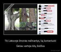 Tik Lietuvoje žmonės nežinantys, ką komentuoti - Geriau vartoja kitų žodžius