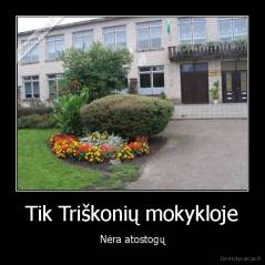 Tik Triškonių mokykloje - Nėra atostogų