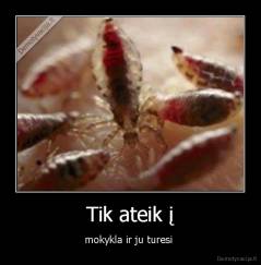 Tik ateik į - mokykla ir ju turesi 