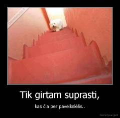 Tik girtam suprasti, - kas čia per paveikslėlis..