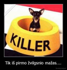 Tik iš pirmo žvilgsnio mažas.... - 