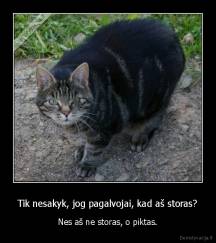 Tik nesakyk, jog pagalvojai, kad aš storas? - Nes aš ne storas, o piktas.