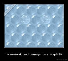 Tik nesakyk, kad nemegsti ju sprogdinti? - 