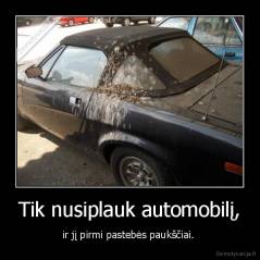 Tik nusiplauk automobilį, - ir jį pirmi pastebės paukščiai. 