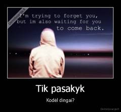 Tik pasakyk - Kodėl dingai?