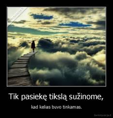 Tik pasiekę tikslą sužinome, - kad kelias buvo tinkamas.