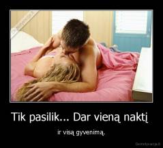 Tik pasilik... Dar vieną naktį  - ir visą gyvenimą.