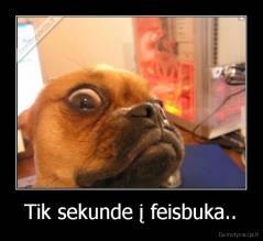 Tik sekunde į feisbuka.. - 