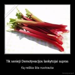 Tik senieji Demotyvacijos lankytojai supras - Ką reiškia šita nuotrauka