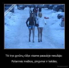 Tik trys gyvūnų rūšys visame pasaulyje nesušąla:  - Poliarinės meškos, pingvinai ir kekšės.