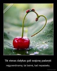 Tik vienas dalykas gali svajonę padaryti  - neįgyvendinamą: tai baimė, kad nepasiseks. 