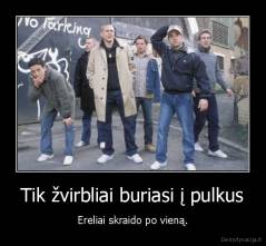 Tik žvirbliai buriasi į pulkus - Ereliai skraido po vieną.