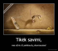 Tikėk savimi, - nes sūris iš pelėkautų skaniausias!