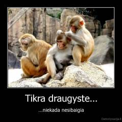 Tikra draugyste... - ...niekada nesibaigia