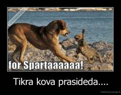 Tikra kova prasideda.... - 