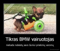 Tikras BMW vairuotojas - niekada neleistų savo šuniui priekinių varomų