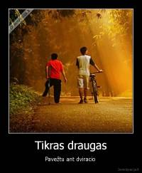 Tikras draugas - Pavežtu ant dviracio 