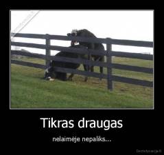 Tikras draugas - nelaimėje nepaliks...