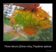 Tikras lietuvis įžiūrės mūsų Trispalvės spalvas - 