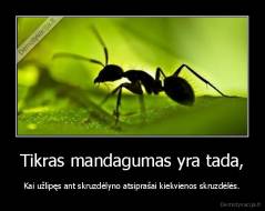 Tikras mandagumas yra tada, - Kai užlipęs ant skruzdėlyno atsiprašai kiekvienos skruzdėlės.