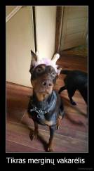 Tikras merginų vakarėlis  - 