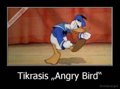 Tikrasis „Angry Bird“ - 