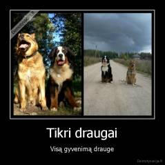 Tikri draugai - Visą gyvenimą drauge