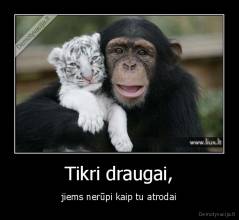 Tikri draugai, - jiems nerūpi kaip tu atrodai