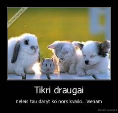 Tikri draugai - neleis tau daryt ko nors kvailo...Vienam