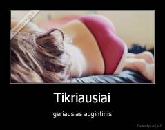 Tikriausiai - geriausias augintinis