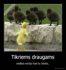 Tikriems draugams visiškai nerūpi, - kad tu kitoks…