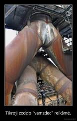 Tikroji zodzio "vamzdec" reikšmė. - 