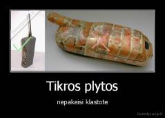 Tikros plytos - nepakeisi klastote